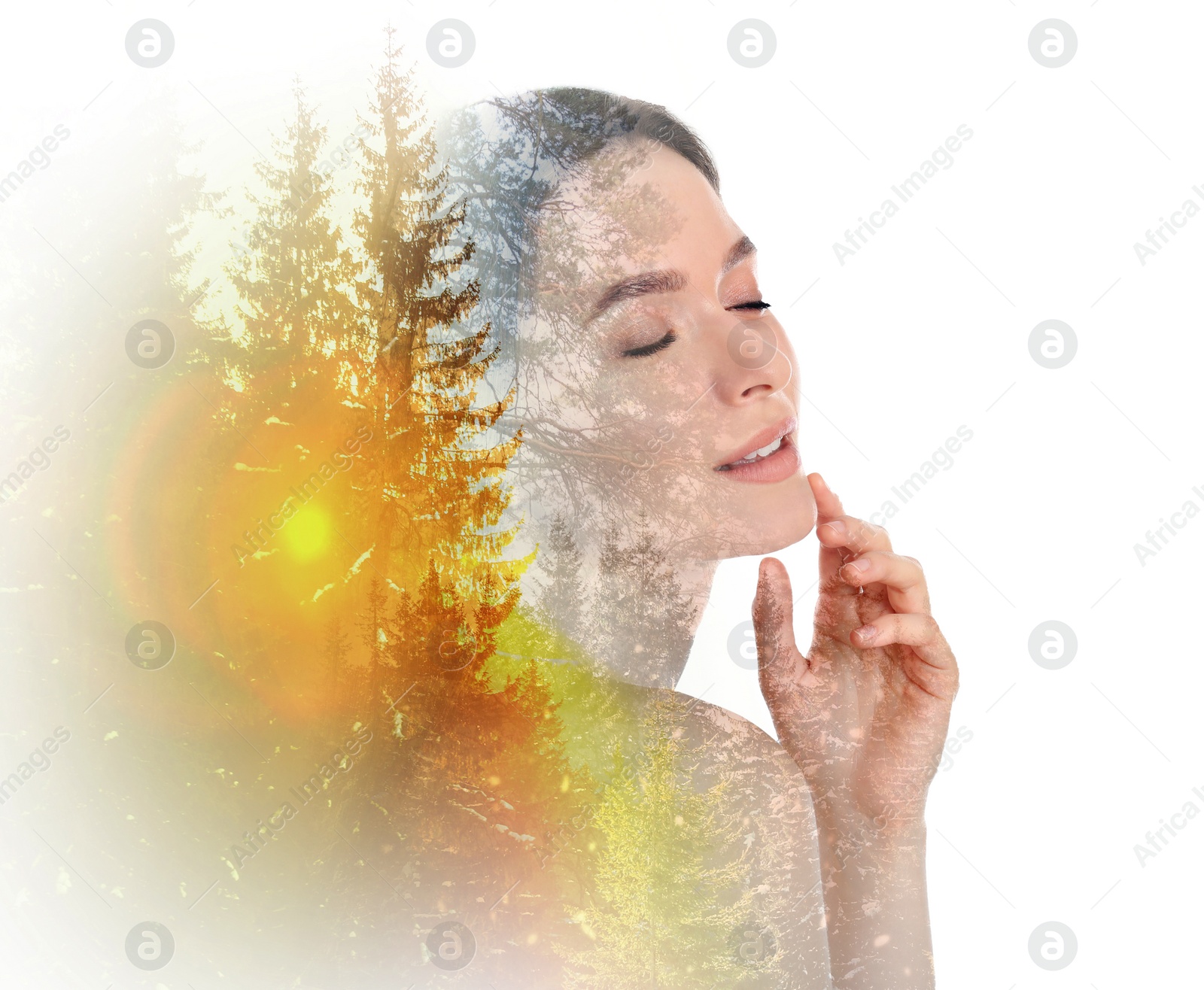 Image of Beautiful woman and pine forest on white background. Double exposure