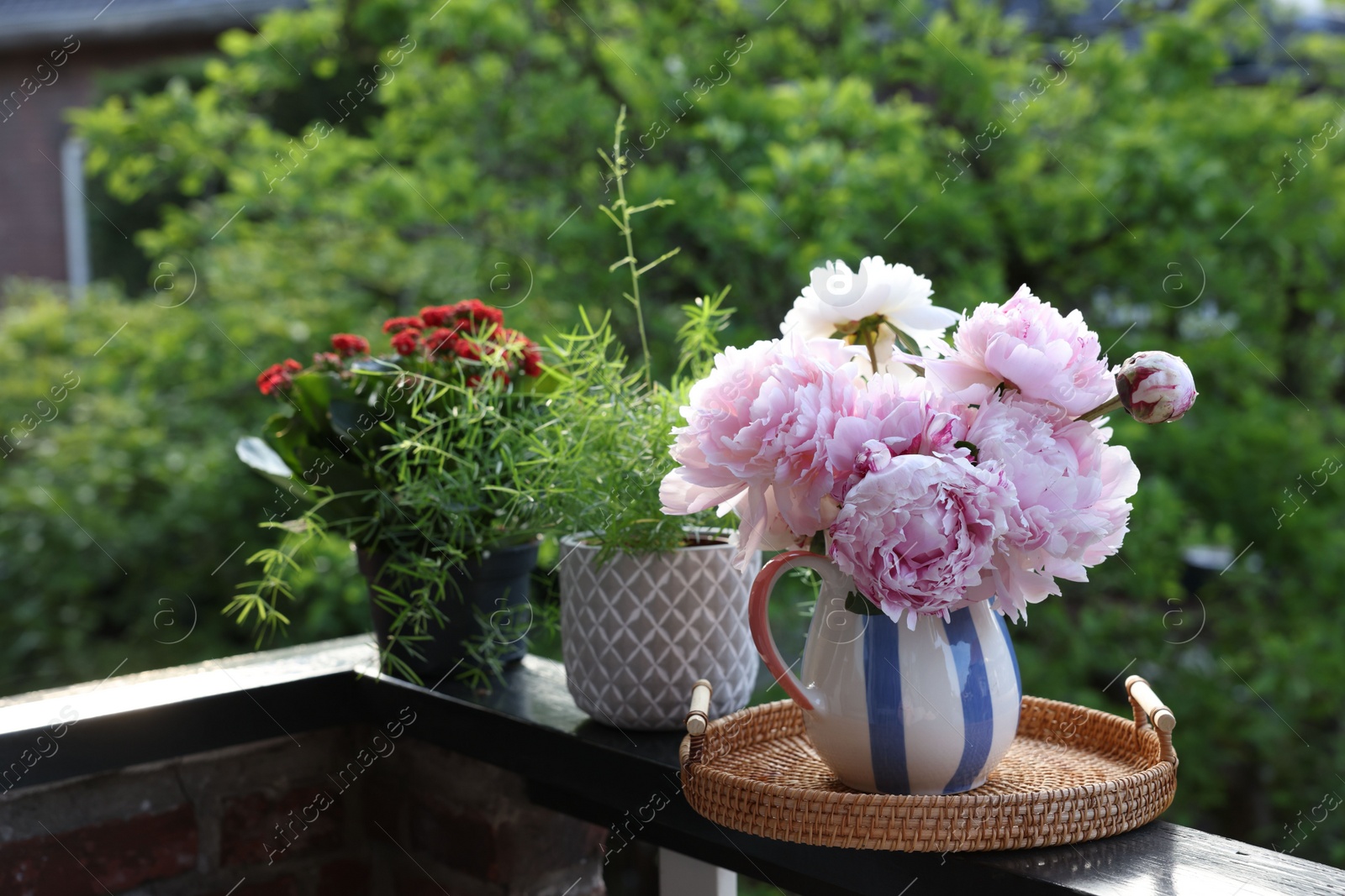 Photo of Balcony garden. Different plants growing on railings outdoors