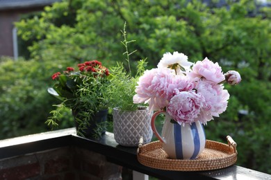 Balcony garden. Different plants growing on railings outdoors