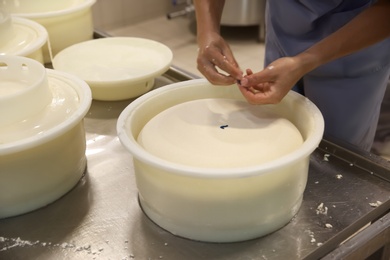 Worker decorating fresh cheese at modern factory, closeup
