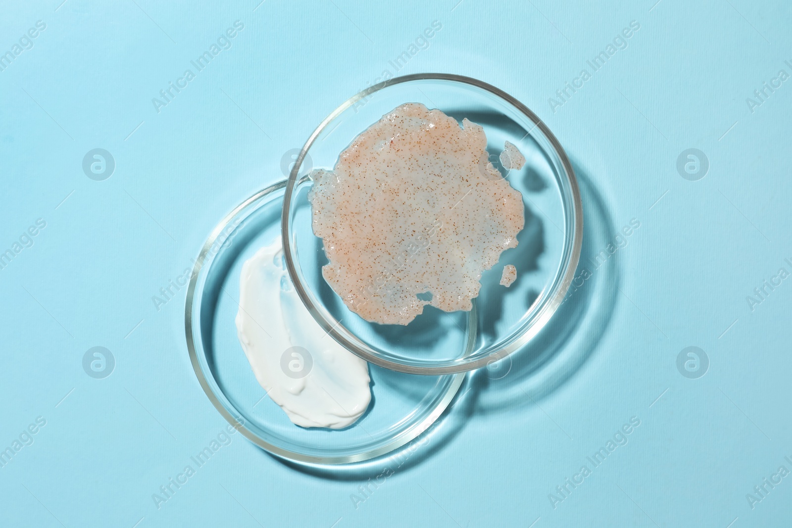 Photo of Petri dishes with samples on light blue background, flat lay