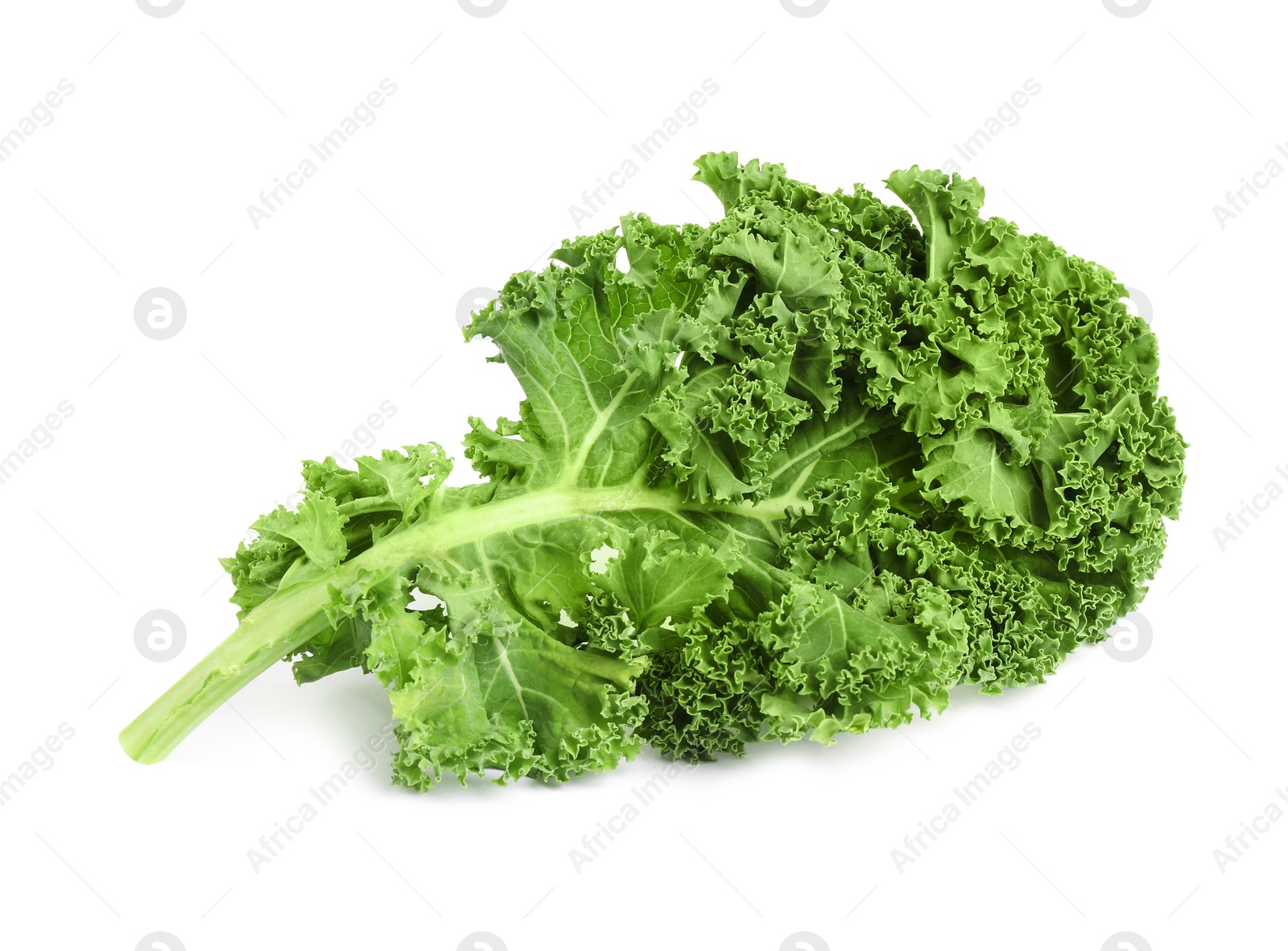 Photo of Fresh green kale leaf isolated on white