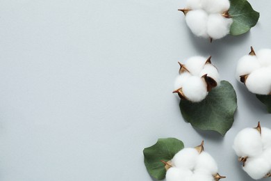 Cotton flowers and eucalyptus leaves on light grey background, flat lay. Space for text