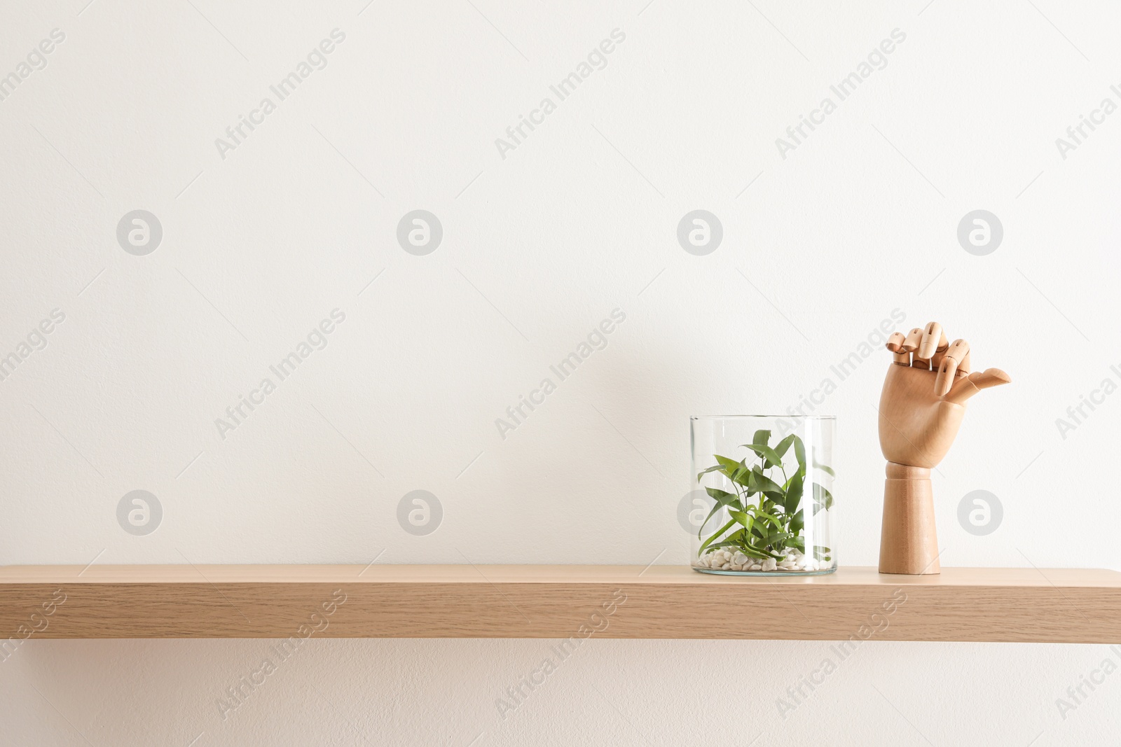 Photo of Wooden shelf with beautiful plant and mannequin hand on light wall