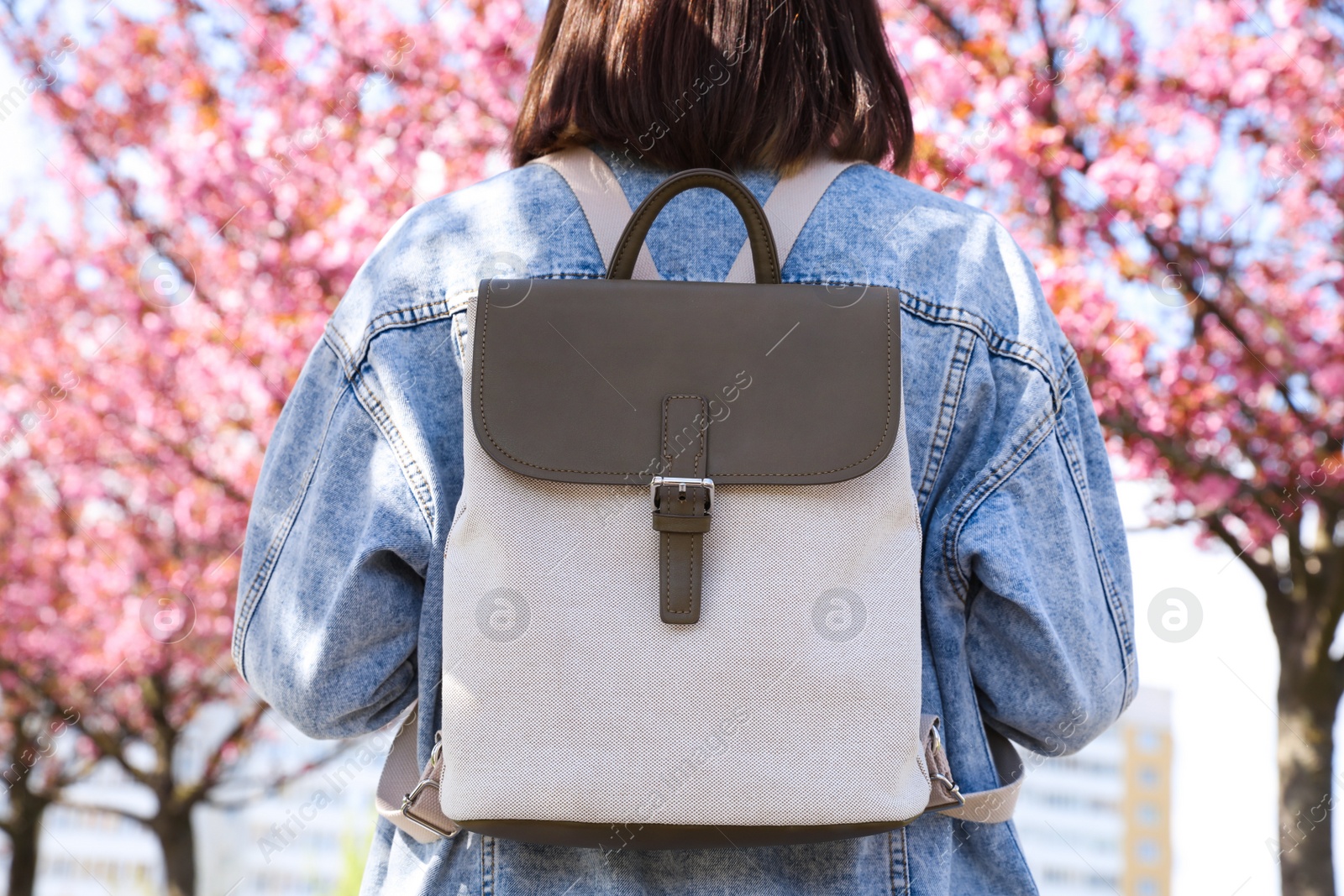 Photo of Young woman with backpack near blossoming sakura trees in park, back view