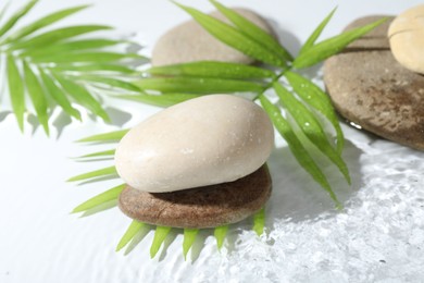 Photo of Spa stones and palm leaves in water on white background