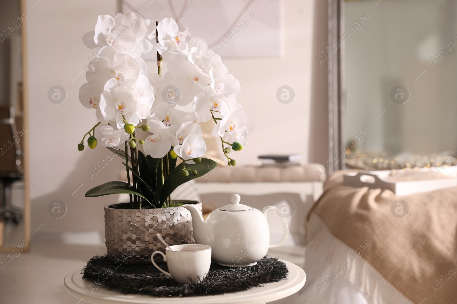 Photo of Beautiful white orchids and tea set on table in room, space for text