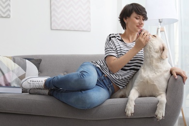 Photo of Adorable yellow labrador retriever with owner on couch indoors