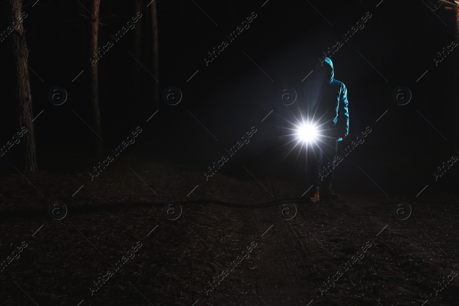 Photo of Man with bright flashlight in forest at night