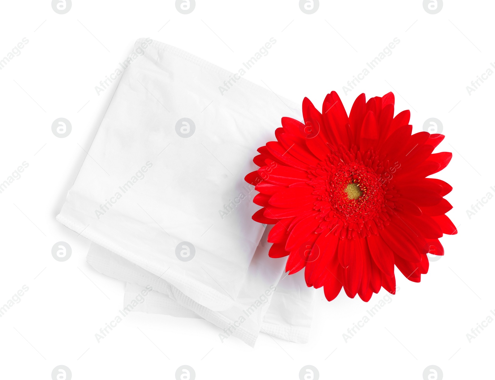 Photo of Menstrual pads and gerbera flower on white background, top view. Gynecological care