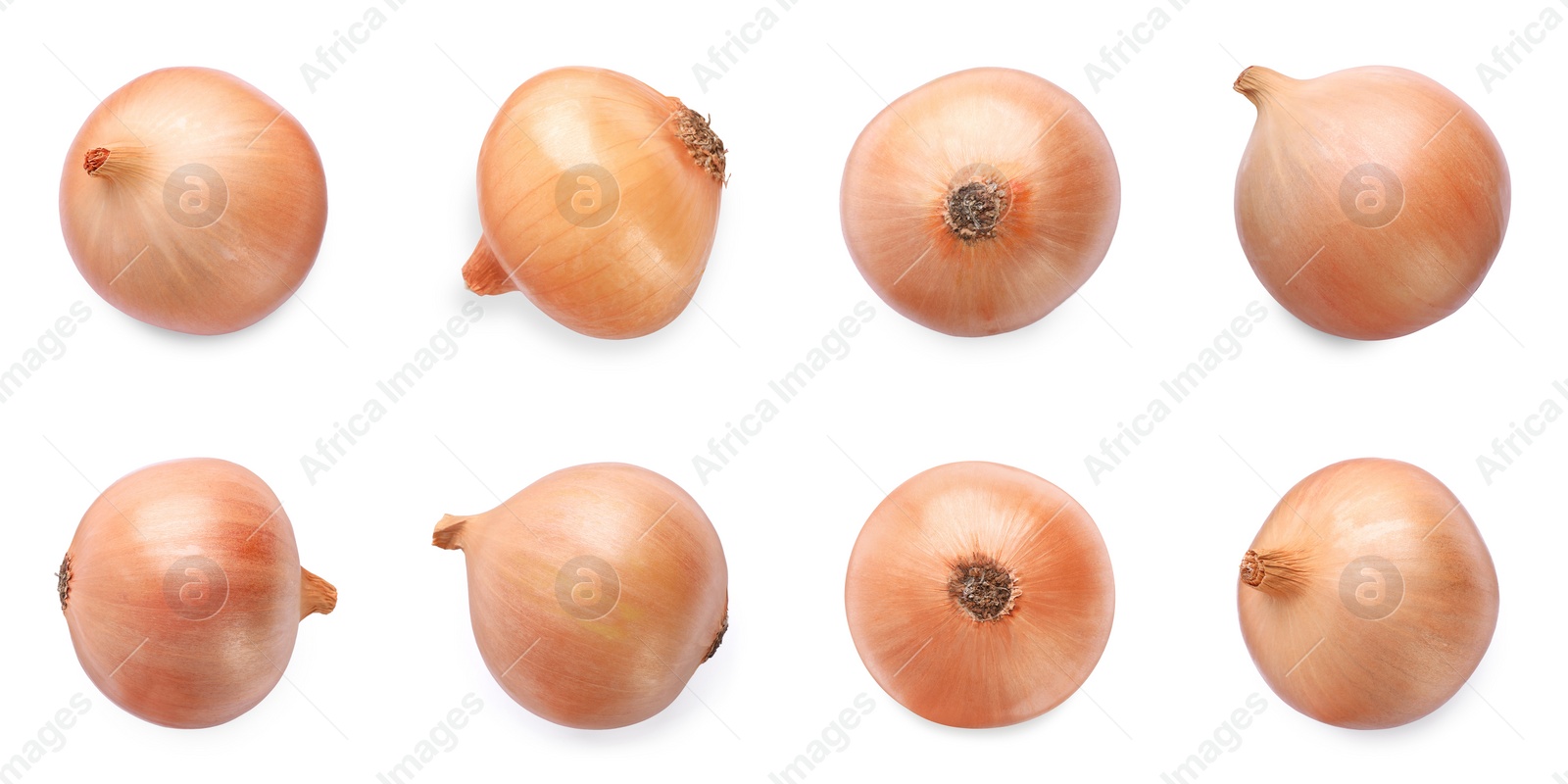 Image of Collage with fresh unpeeled onion bulbs on white background, top view