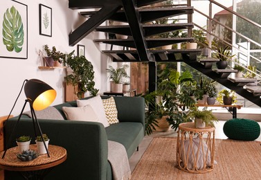 Photo of Stylish living room interior with comfortable sofa and green plants