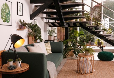 Stylish living room interior with comfortable sofa and green plants