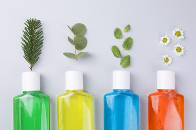 Photo of Fresh mouthwashes in bottles and ingredients on grey background, flat lay