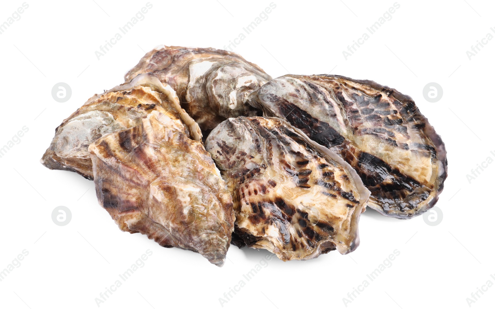 Photo of Fresh raw closed oysters on white background