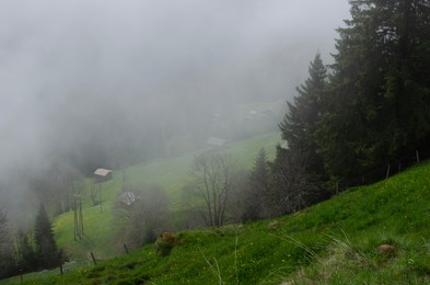 Photo of Picturesque view of green grass, trees and buildings covered by fog in mountains
