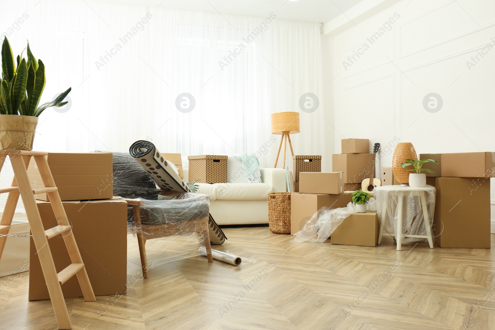 Photo of Cardboard boxes, potted plants and household stuff indoors. Moving day