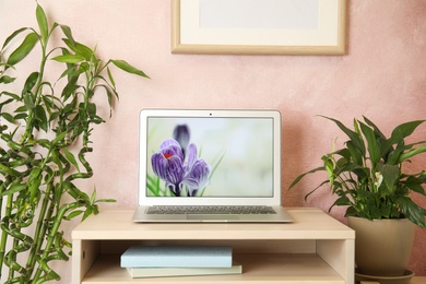 Photo of Houseplants and laptop on table in office interior