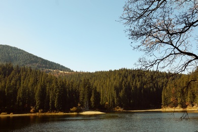 Photo of Beautiful mountain landscape with forest near water