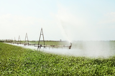 Photo of Field with irrigation system on sunny day