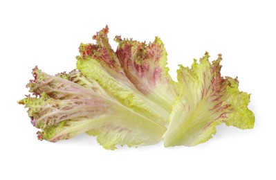 Photo of Leaves of fresh red coral lettuce isolated on white