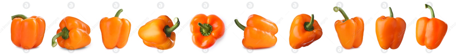 Image of Set of ripe orange bell peppers on white background. Banner design
