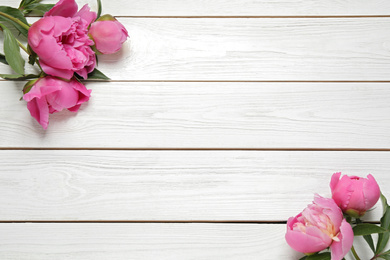 Photo of Beautiful pink peonies on white wooden background, flat lay. Space for text