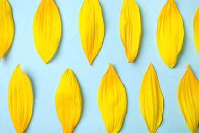 Photo of Fresh yellow sunflower petals on light blue background, flat lay