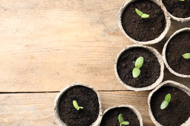 Photo of Young seedlings in peat pots on wooden table, flat lay. Space for text