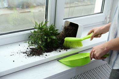 Photo of Woman cleaning window sill from soil at home, closeup