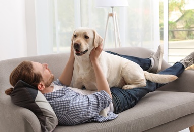 Adorable yellow labrador retriever with owner on couch indoors