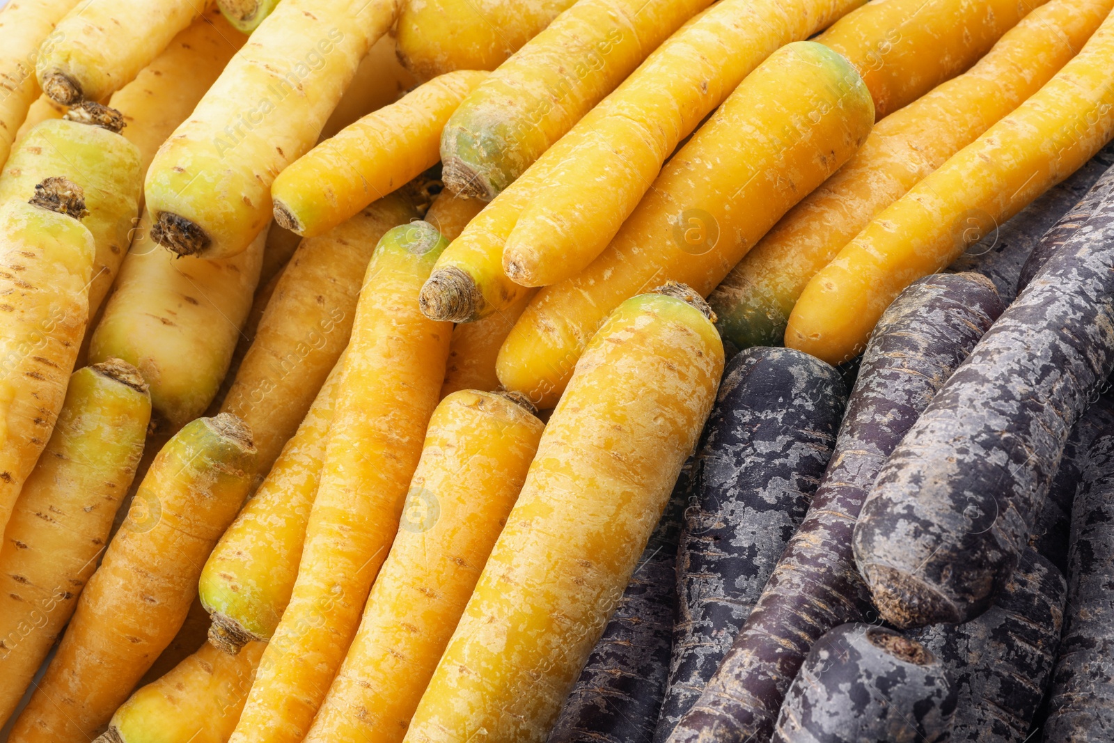 Photo of Pile of different carrots as background, closeup