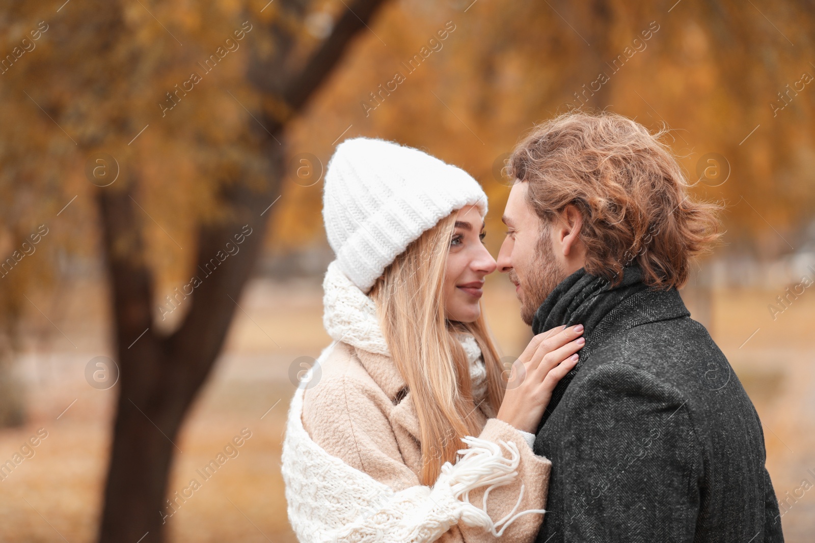 Photo of Young romantic couple in park on autumn day