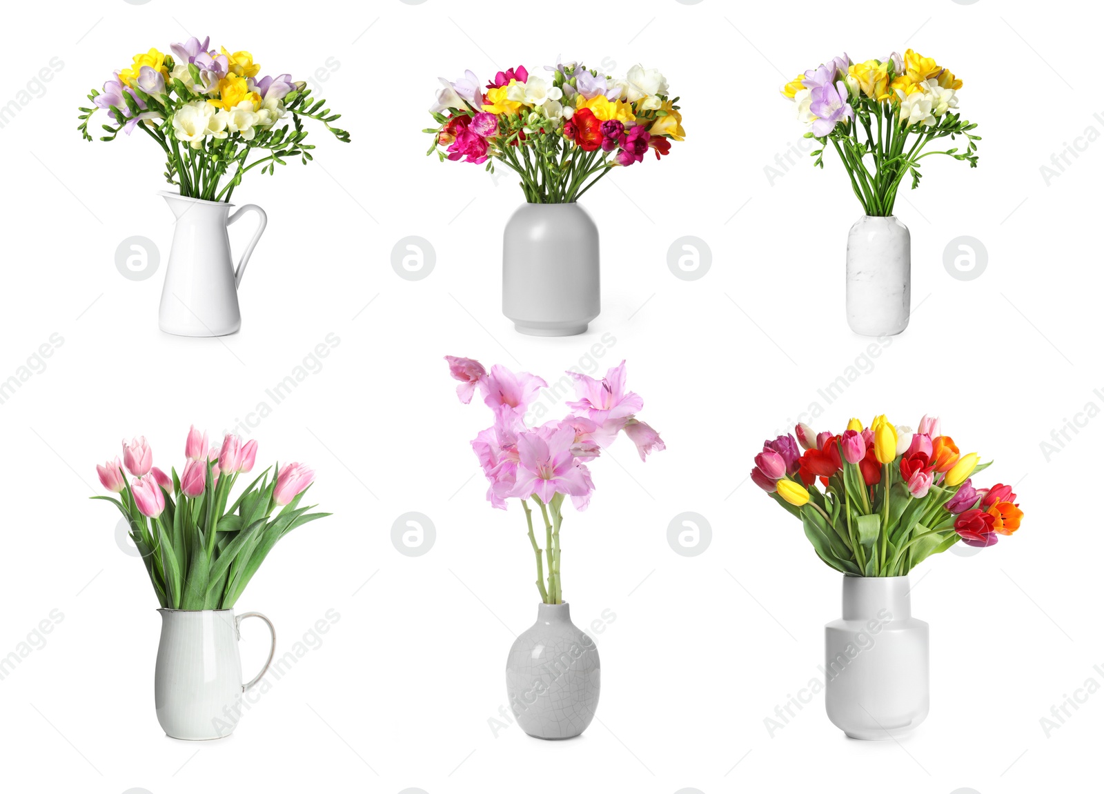Image of Set with beautiful flowers on white background