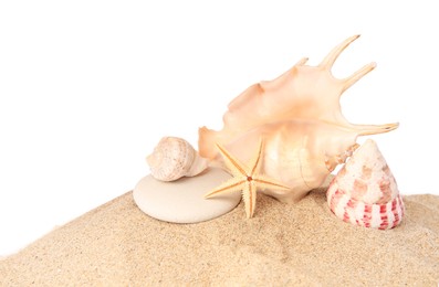 Sand with many beautiful sea star, seashells and stone isolated on white