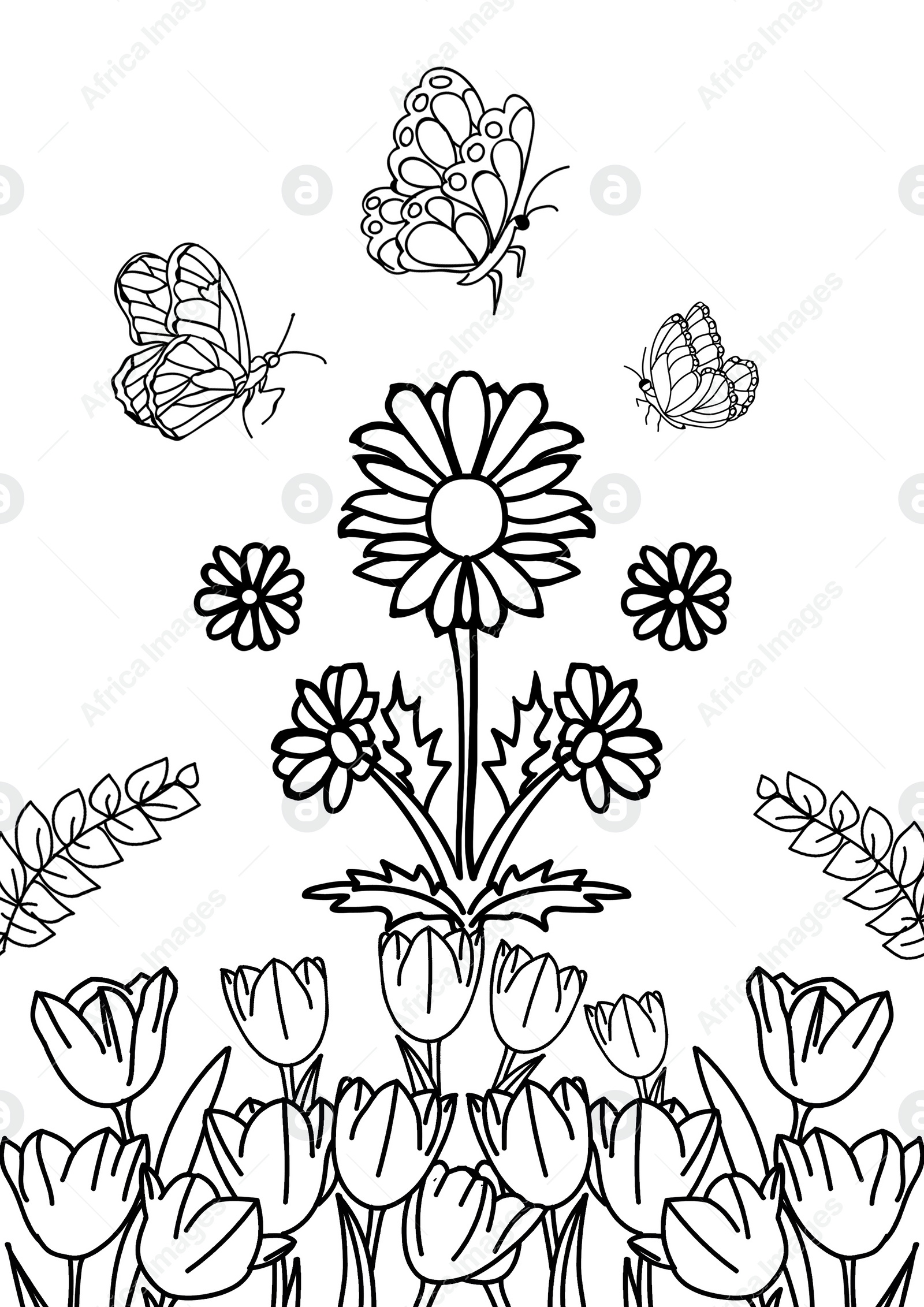 Illustration of Beautiful flowers and flying butterflies on white background, illustration. Coloring page 