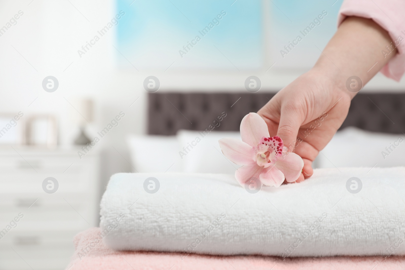 Photo of Woman putting flower on stack of clean towels in bedroom, closeup