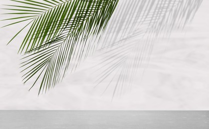 Image of Tropical leaves over grey table casting shadow on white wall with pattern, space for text