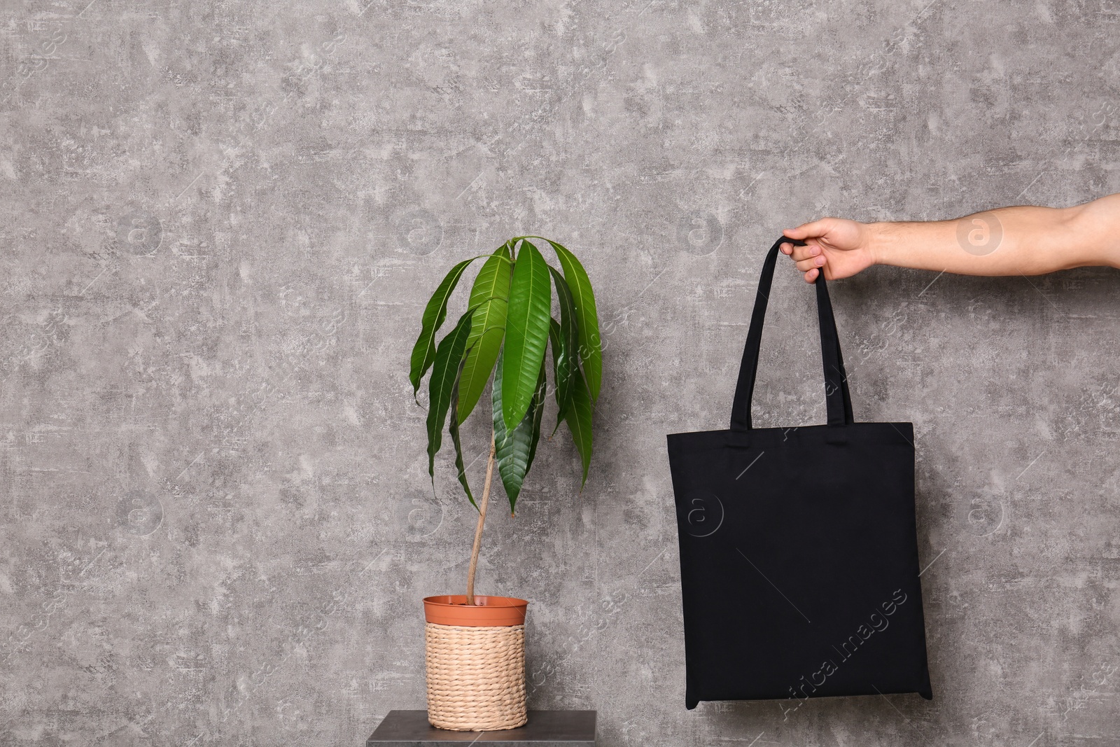 Photo of Young man holding eco bag at table with potted plant near grey wall