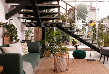 Photo of Stylish living room interior with comfortable sofa and green plants