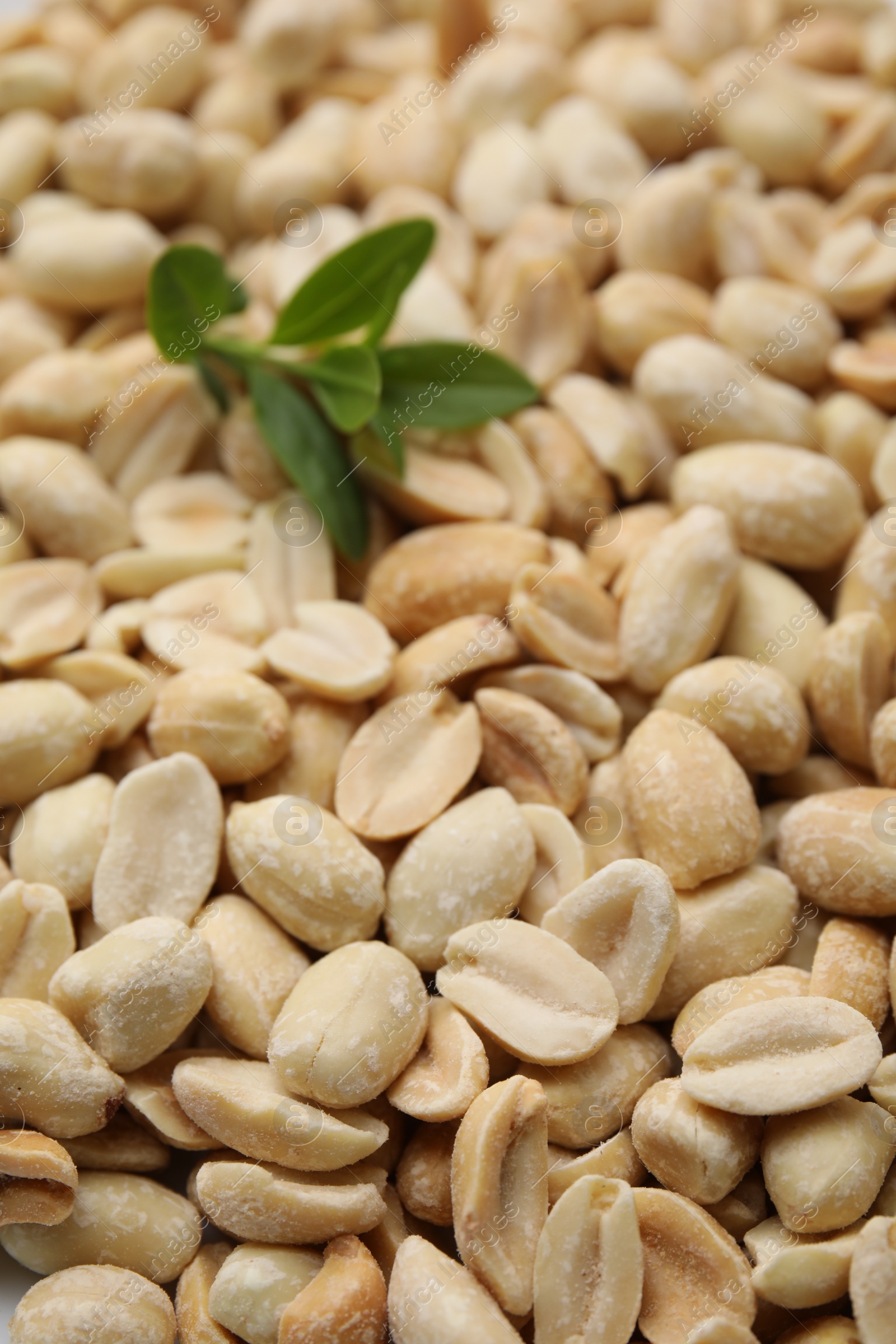 Photo of Many fresh peeled peanuts and leaves as background, closeup