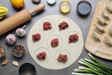 Photo of Flat lay composition with ingredients for gyoza on light grey table
