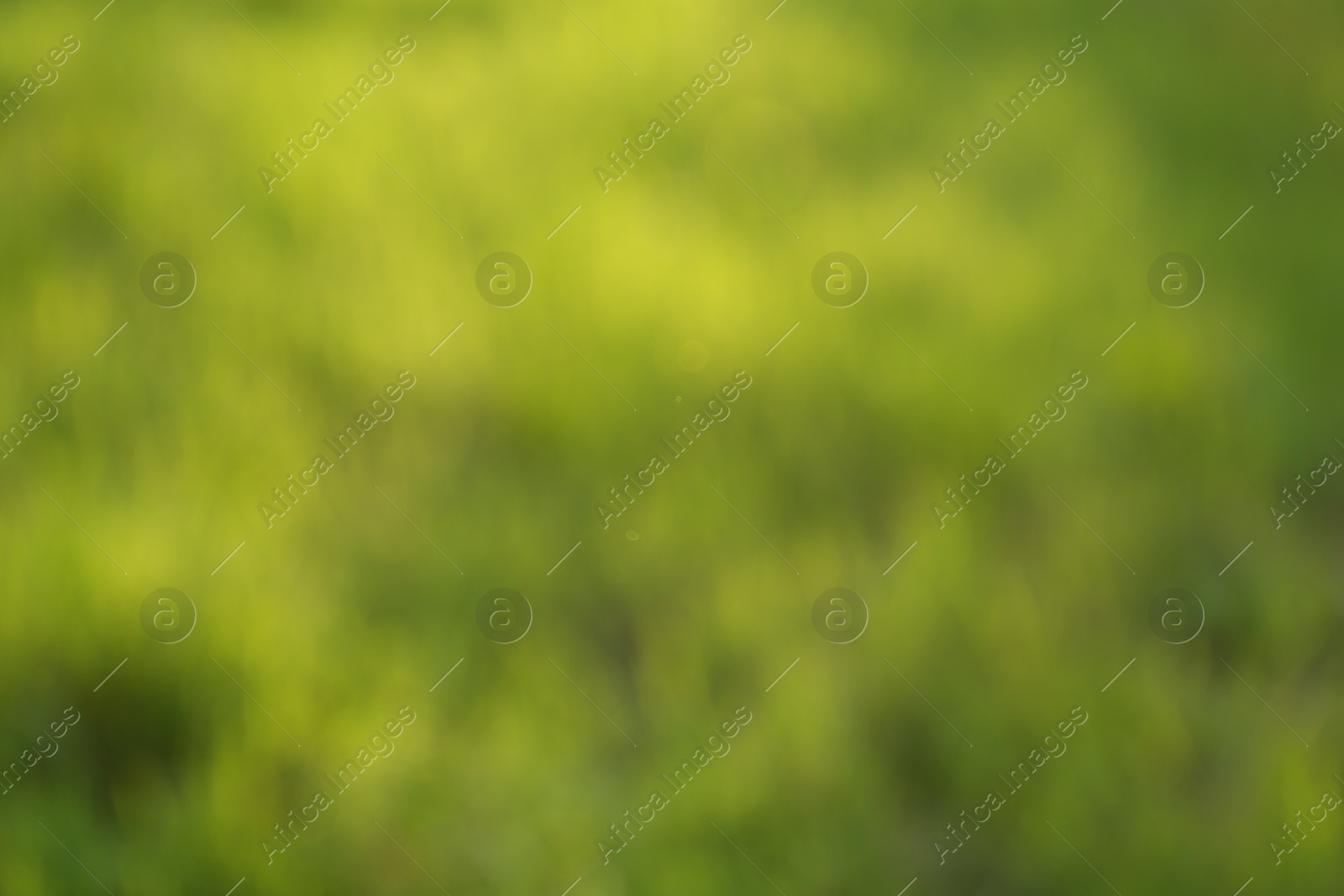 Photo of Blurred view of fresh green grass outdoors
