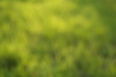 Blurred view of fresh green grass outdoors