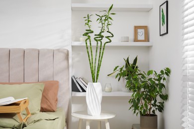 Photo of Vase with green bamboo stems on table in bedroom