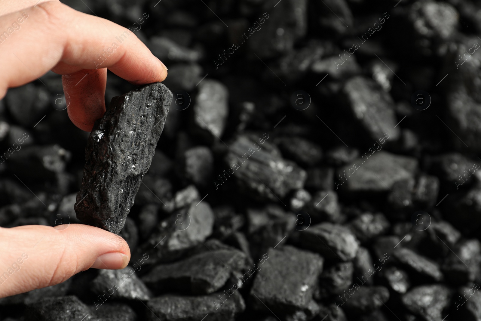 Photo of Man holding piece of coal over pile, closeup. Space for text