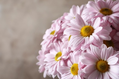 Photo of Beautiful chamomile flowers on color background, closeup. Space for text