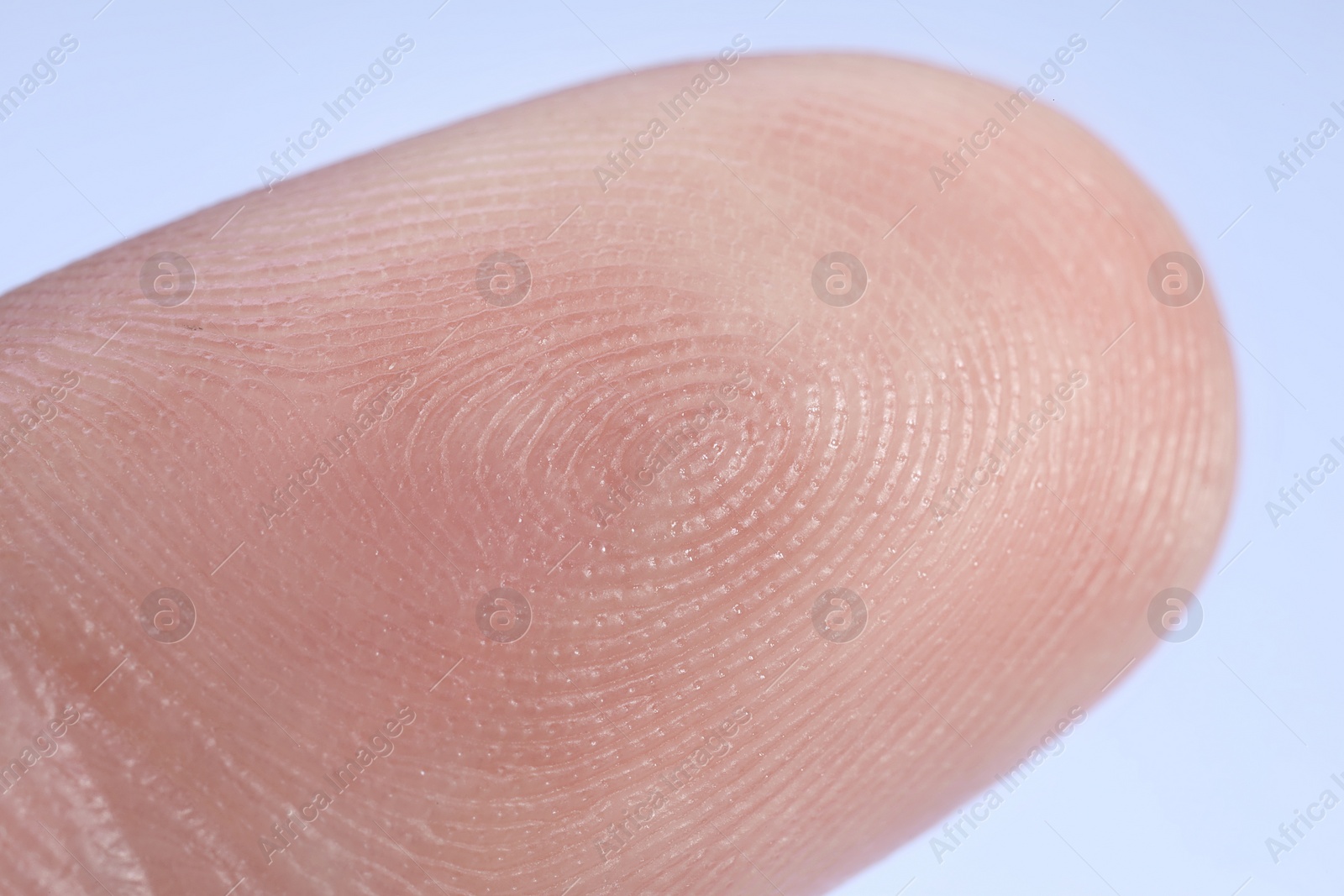 Photo of Finger with friction ridges on light blue background, macro view