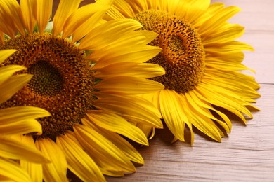 Photo of Beautiful bright sunflowers on wooden background, closeup