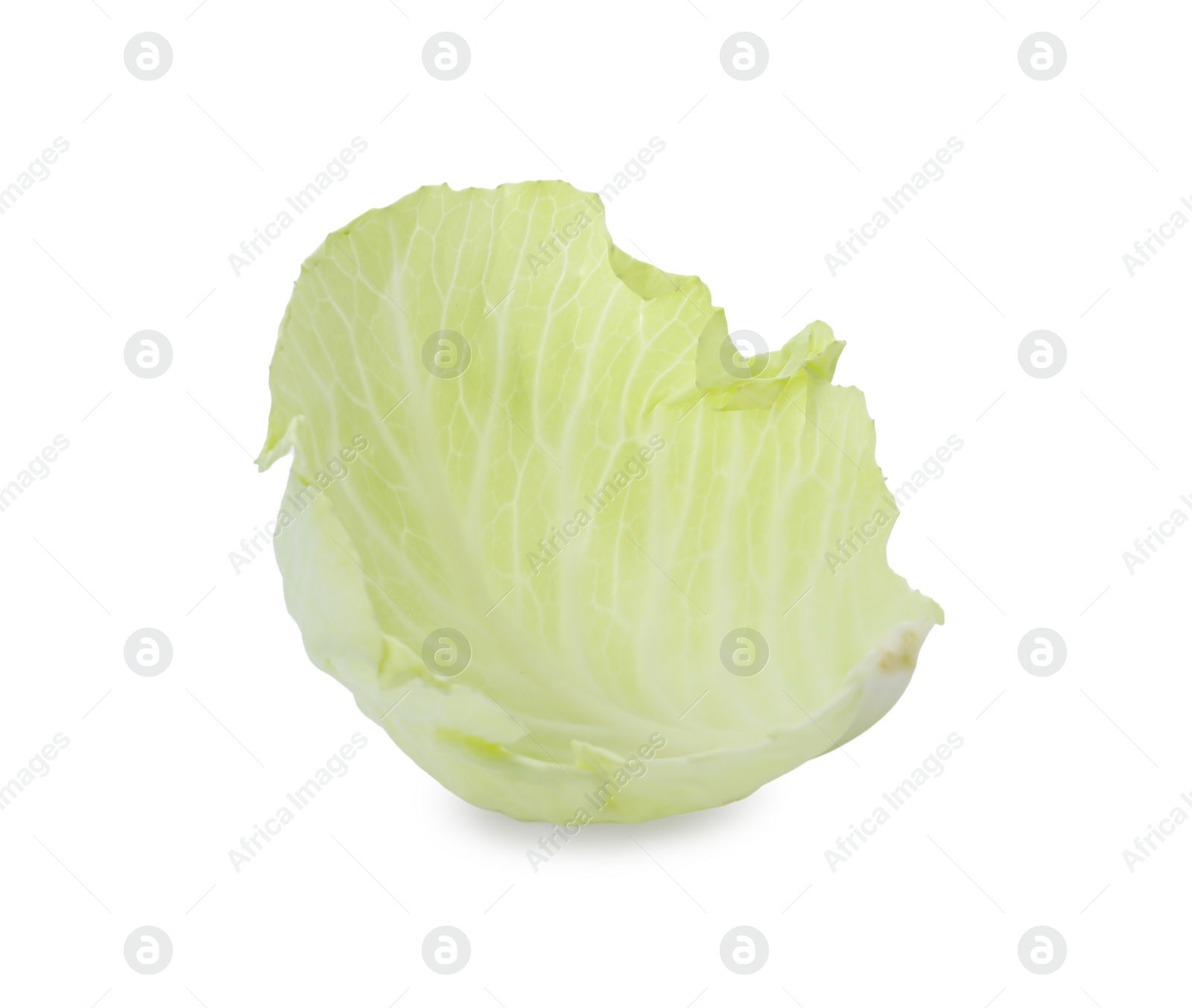 Photo of Leaf of fresh ripe cabbage isolated on white